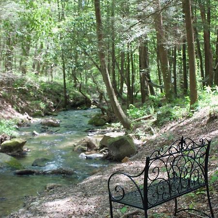 Private Creekside Cabin+Hot Tub,Pool Table, & Pets Ellijay Exteriör bild