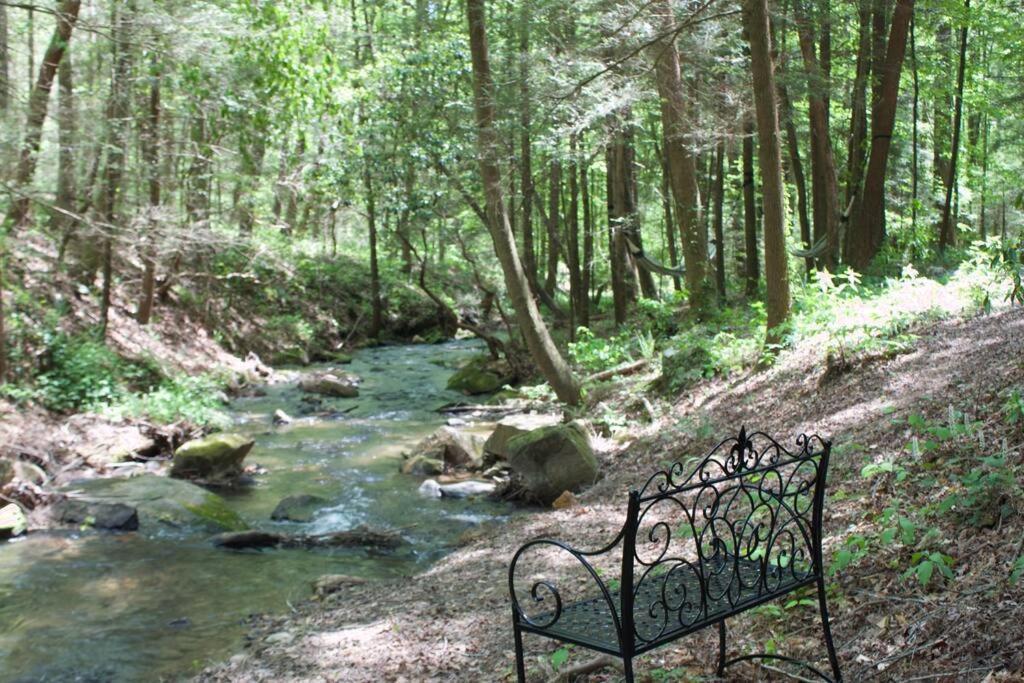 Private Creekside Cabin+Hot Tub,Pool Table, & Pets Ellijay Exteriör bild