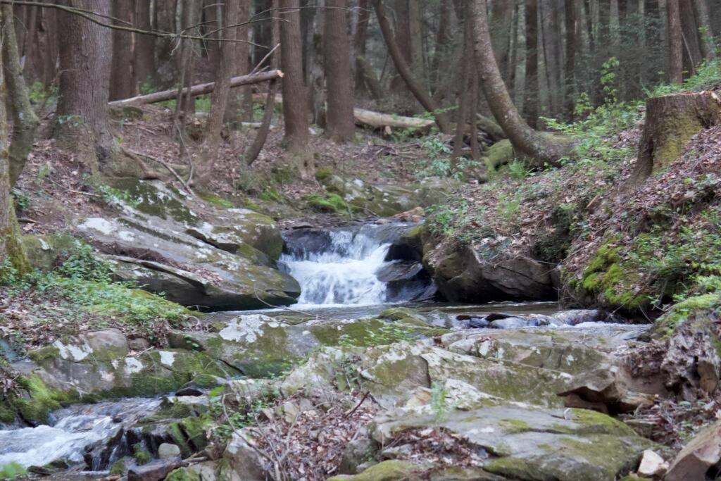 Private Creekside Cabin+Hot Tub,Pool Table, & Pets Ellijay Exteriör bild